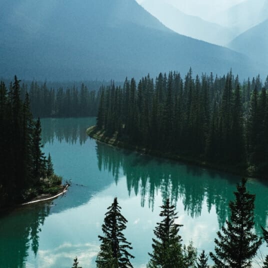 Offerings offerings 02.jpg