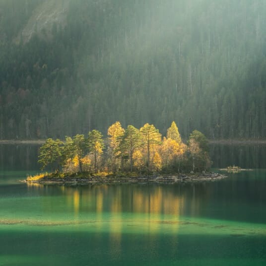 Offerings offerings 03.jpg